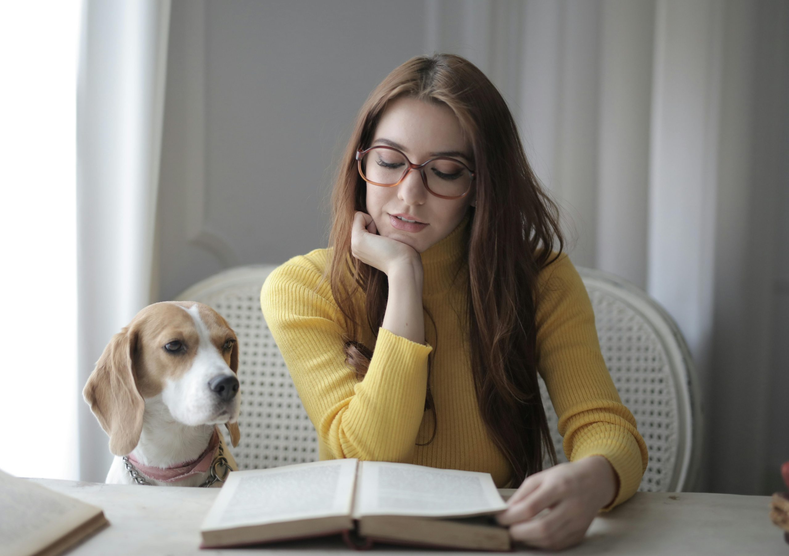 Announcing Australia’s First Assistance Animal Ambassador Course